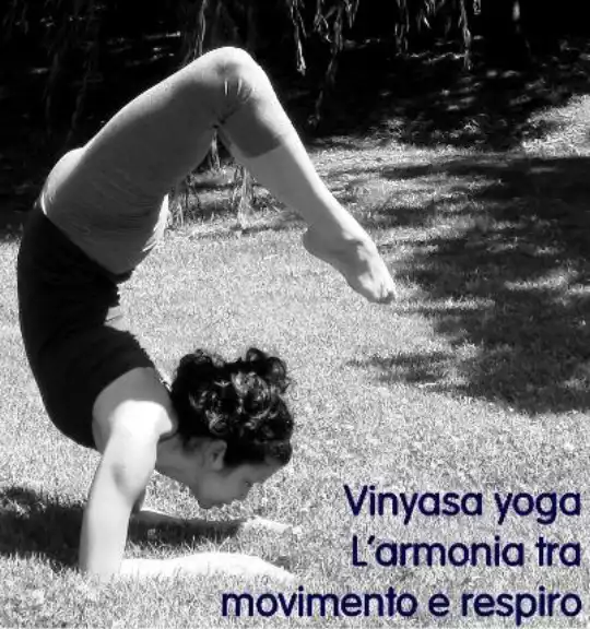 pincha mayurasana bw1piccola.jpg